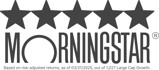 Morningstar 5 Star rating based on risk adjusted returns as of 03/31/2025 out of 1,027 Large Cap Growth funds-with-disclosure-2025-03-31